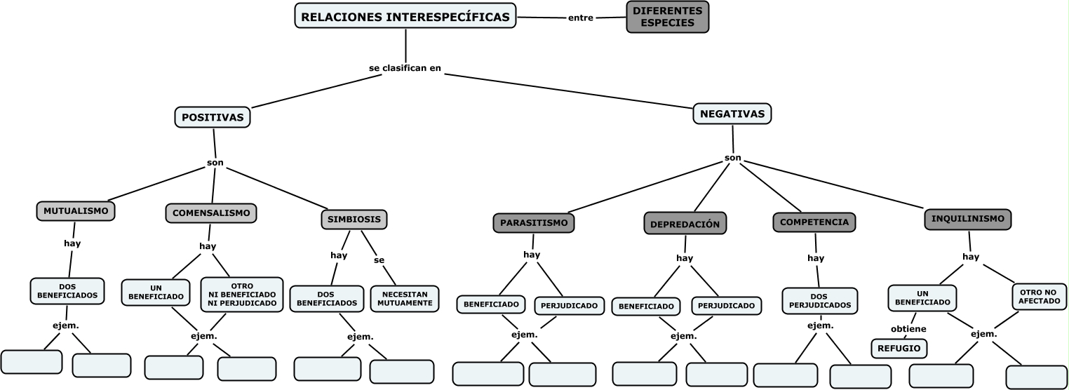 RelaciÓn Interespecifica